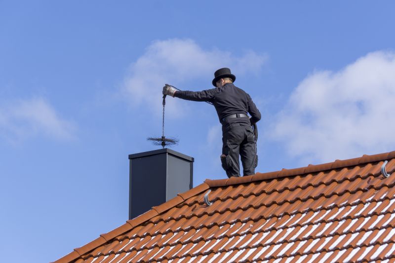Chimney Sweep Professionals